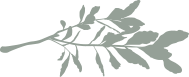 Branch-img