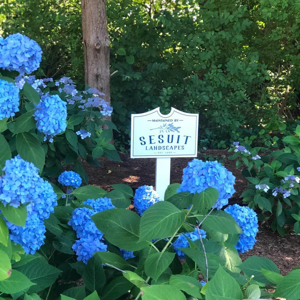 A Locally-Owned and Managed Landscape Company